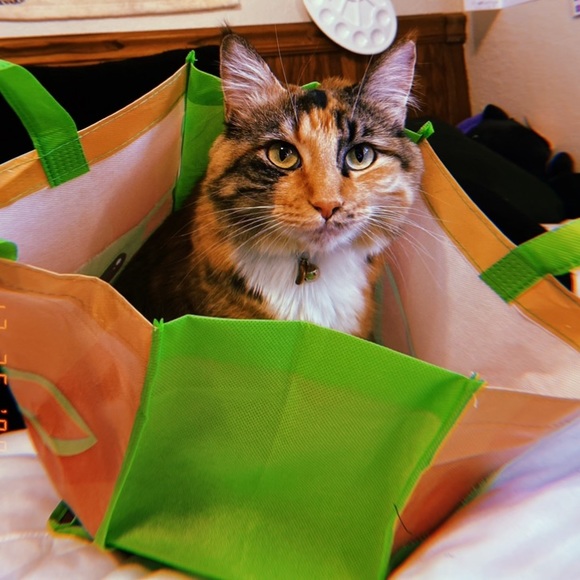 Meet Rainbow Soul - Picture 14 of 15